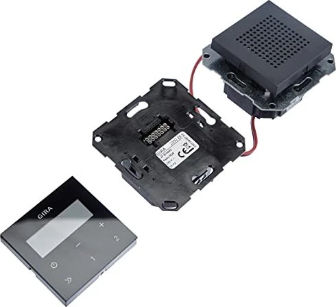 Gira System 55 Unterputz-Radio RDS inkl. Lautsprecher, anthrazit