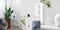 TP-Link Kasa HS110, Smart-Steckdose mit Strommessfunktion Vorschaubild