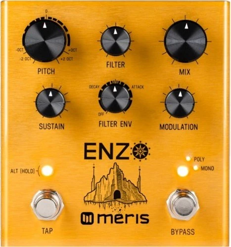 Meris Enzo
