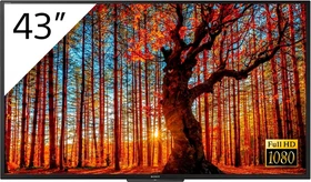 Sony FWD-43W66F/T, 43"