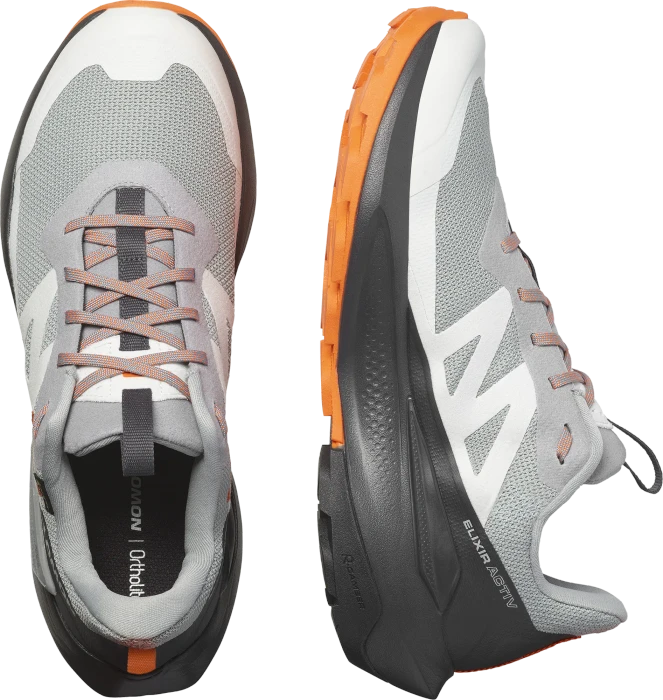 Salomon Elixir Activ GTX sharkskin/phantom/dragon fire (Herren)