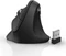 Hama EMW-500 Vertical Wireless Maus schwarz, USB Vorschaubild