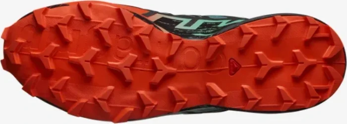 Salomon Speedcross 6 GTX north atlantic/black/cherry tomato (Herren)