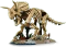LEGO Jurassic World - Dinosaurier-Fossilien: Triceratops Vorschaubild