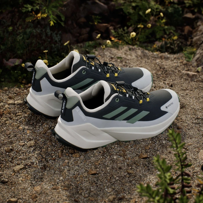 adidas National Geographic Terrex Trailmaker 2 GTX Speed Lace carbon/silver green/orbit grey (Herren)