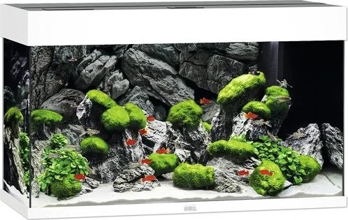 Juwel Rio 125 LED Aquarium