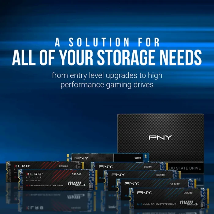 PNY CS2241 1TB, M.2 2280 / M-Key / PCIe 4.0 x4