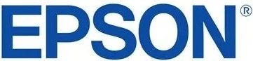 Epson Tinte UltraChrome Pro10 grau hell 350ml