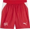 Puma FIFA WM 2026 Schweiz Heimshorts (Herren) Vorschaubild