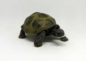 Schleich Wild Life - Riesenschildkröte
