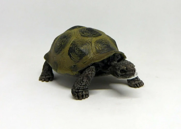 Schleich Wild Life - Riesenschildkröte