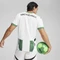 Puma Borussia Mönchengladbach 2024/2025 Heimtrikot (Herren) Vorschaubild