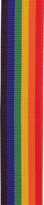 D'Addario Auto Lock Polypro Guitar Strap Rainbow