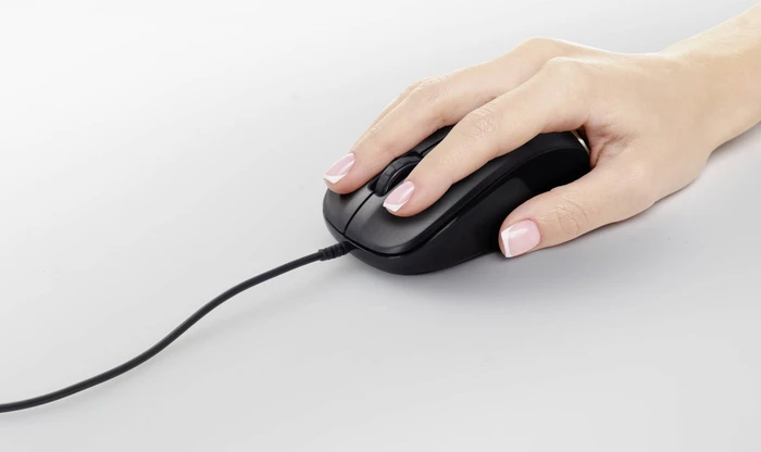 Renkforce RF-WEM-110 Optische Maus schwarz, USB