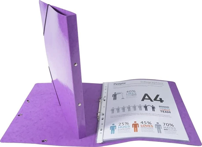 Exacompta Iderama Ringbuch 2-Ring, 20mm, A4, violett