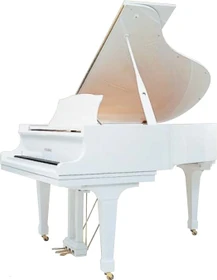 Kawai GX-2