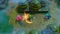 The Legend of Zelda: Link's Awakening - Limited Edition (Switch) Vorschaubild
