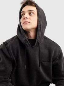 Dickies Plentywood Hoodie schwarz (Herren)