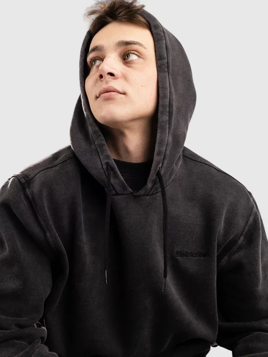 Dickies Plentywood Hoodie schwarz (Herren)