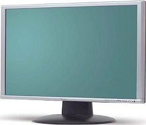 Fujitsu ScaleoView L22W-7SD, 22"