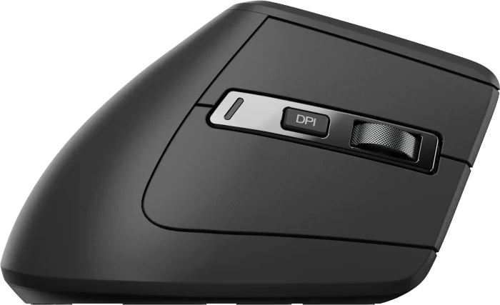 Rapoo EV310M Ergonomic Wireless Mouse schwarz, USB/Bluetooth