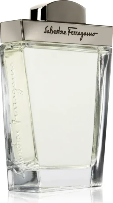 Salvatore Ferragamo Pour Homme Eau de Toilette, 100ml