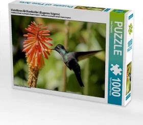 Calvendo Violettkron-Brilliantkolibri (Eugenes fulgens)