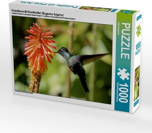 Calvendo Violettkron-Brilliantkolibri (Eugenes fulgens)