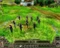 Elven Legacy - Siege (Download) (Add-on) (PC) Vorschaubild