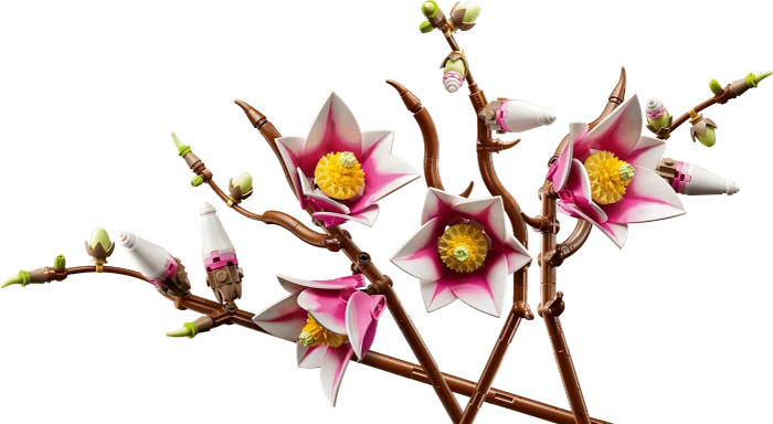 LEGO Botanicals - Magnolienzweige