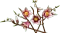 LEGO Botanicals - Magnolienzweige Vorschaubild