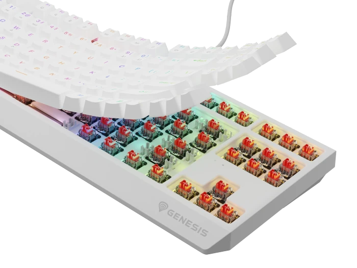 Genesis Thor 230 TKL, weiß, LEDs RGB, hot-swap, Gaote Outemu BROWN, USB, US