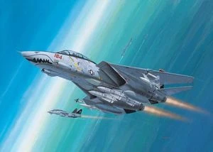 Revell F-14D Super Tomcat