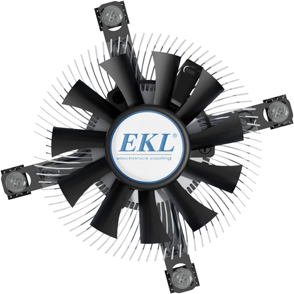 EKL 21923