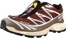 Salomon XT-6 GTX bitter chocolate/iron/vanilla ice