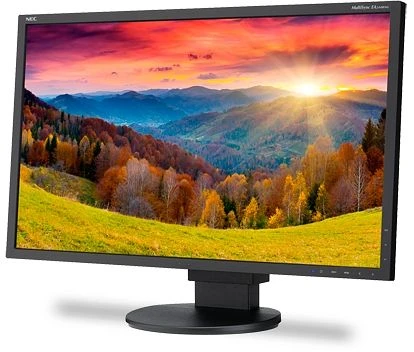 NEC MultiSync EA244WMi-BK, schwarz, 24"