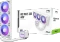 ASRock Pro 360 ARGB White Vorschaubild