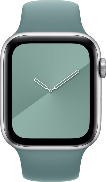 Apple Sportarmband Regular für Apple Watch 44mm kaktus
