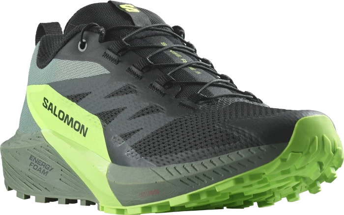 Salomon Sense Ride 5 black/laurel wreath/green gecko (Herren)
