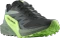 Salomon Sense Ride 5 black/laurel wreath/green gecko (Herren) Vorschaubild