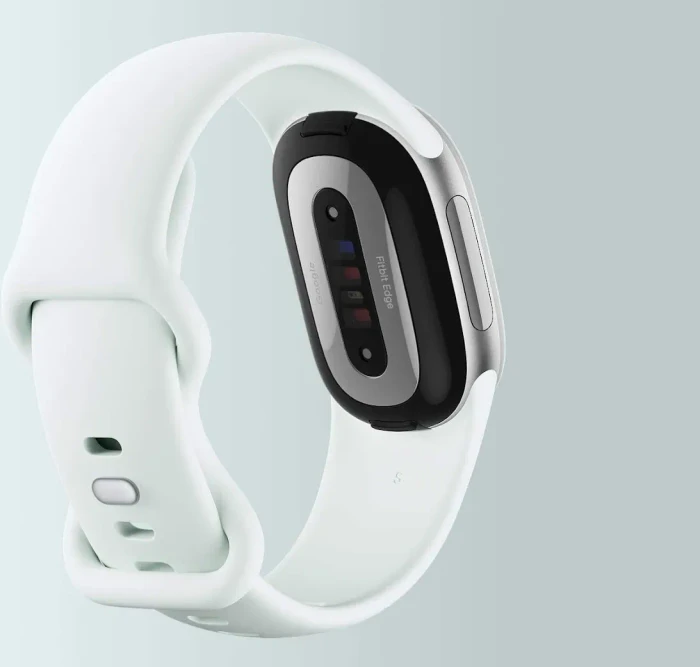 Google Fitbit Edge Aktivitäts-Tracker fog