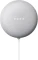 Google Nest Mini 2. Generation Vorschaubild