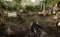 Crysis - Maximum Edition (PC) Vorschaubild