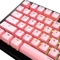 Glorious GPBT Basics Keycaps, Kunststoff (PBT), Potion Pink, rosa, 130 Tasten, ANSI-US Vorschaubild