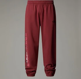 The North Face NSE Trainingshose lang sumac