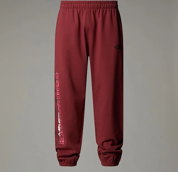 The North Face NSE Trainingshose lang sumac