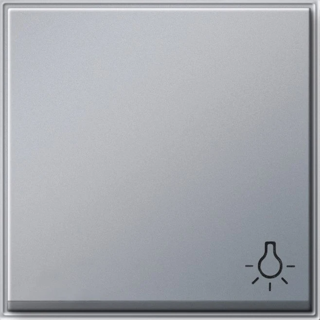 Gira TX_44 Wippe mit Symbol Licht, alu