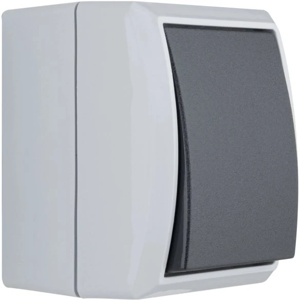 REV Ritter AquaForm Aus-/Wechselschalter AP IP 44, grau