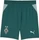 Puma Borussia Mönchengladbach 2026/2027 Heimshorts cold green/seafoam (Junior) (784025-03)