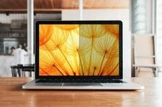 3M BPNAP001 Bright Screen Privacy Filter für Apple MacBook Air